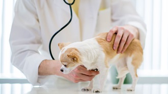 assurance habitation test achat